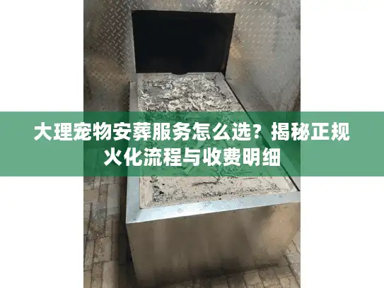 大理宠物安葬服务怎么选？揭秘正规火化流程与收费明细