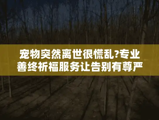 宠物突然离世很慌乱?专业善终祈福服务让告别有尊严