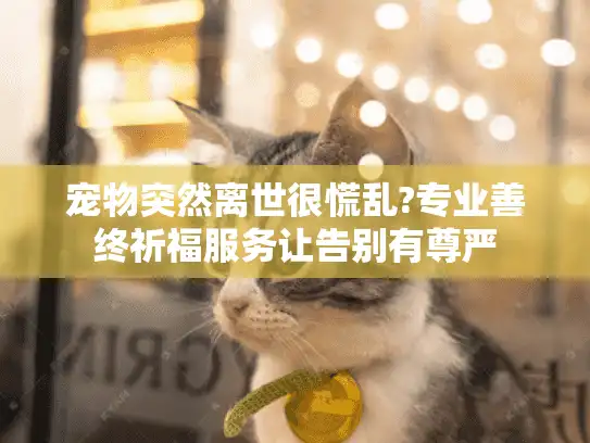 宠物突然离世很慌乱?专业善终祈福服务让告别有尊严