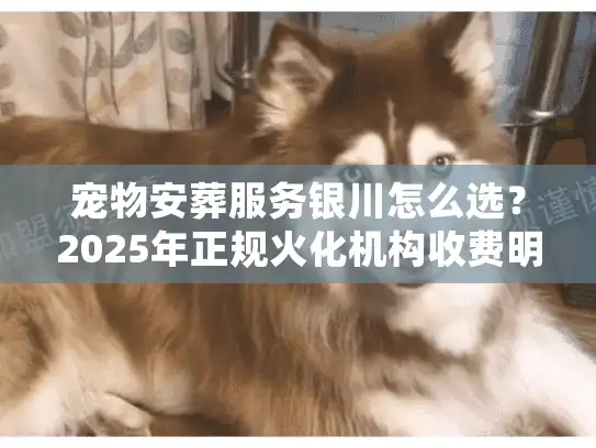 宠物安葬服务银川怎么选？2025年正规火化机构收费明细
