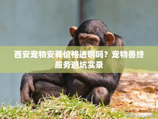 西安宠物安葬价格透明吗？宠物善终服务避坑实录