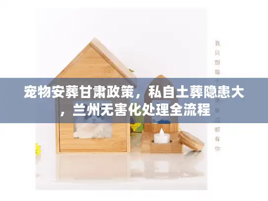 宠物安葬甘肃政策，私自土葬隐患大，兰州无害化处理全流程