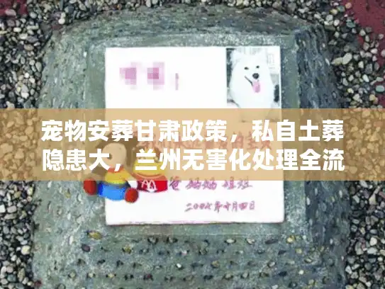 宠物安葬甘肃政策，私自土葬隐患大，兰州无害化处理全流程