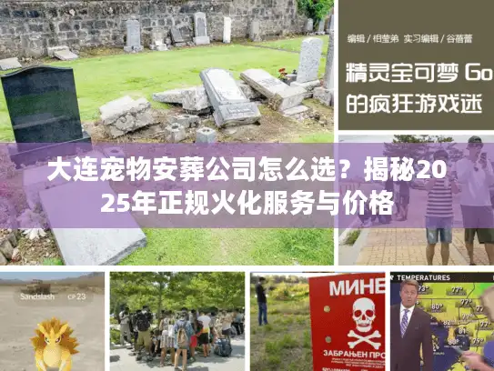 大连宠物安葬公司怎么选？揭秘2025年正规火化服务与价格