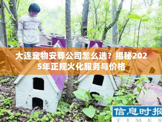 大连宠物安葬公司怎么选？揭秘2025年正规火化服务与价格
