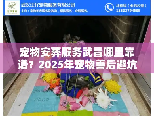 宠物安葬服务武昌哪里靠谱？2025年宠物善后避坑实录与价格解析