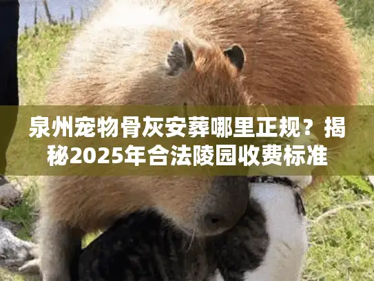 泉州宠物骨灰安葬哪里正规？揭秘2025年合法陵园收费标准