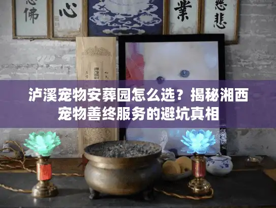 泸溪宠物安葬园怎么选？揭秘湘西宠物善终服务的避坑真相