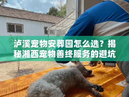 泸溪宠物安葬园怎么选？揭秘湘西宠物善终服务的避坑真相