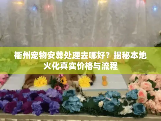 衢州宠物安葬处理去哪好？揭秘本地火化真实价格与流程