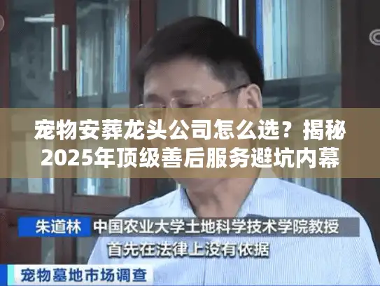 宠物安葬龙头公司怎么选？揭秘2025年顶级善后服务避坑内幕