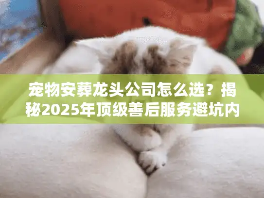 宠物安葬龙头公司怎么选？揭秘2025年顶级善后服务避坑内幕