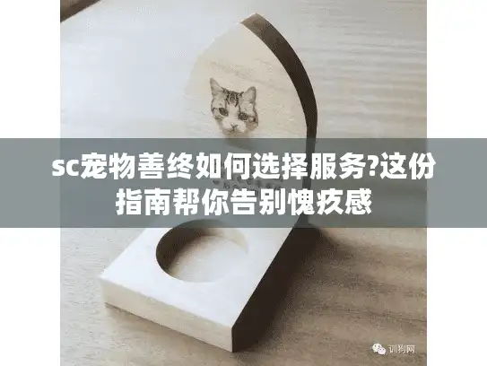 sc宠物善终如何选择服务?这份指南帮你告别愧疚感