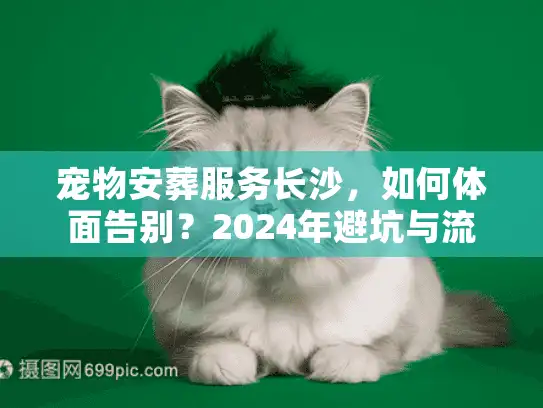 宠物安葬服务长沙，如何体面告别？2024年避坑与流程实录