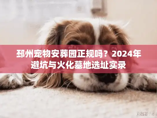 邳州宠物安葬园正规吗？2024年避坑与火化墓地选址实录