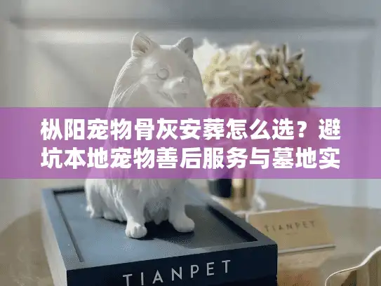 枞阳宠物骨灰安葬怎么选？避坑本地宠物善后服务与墓地实情