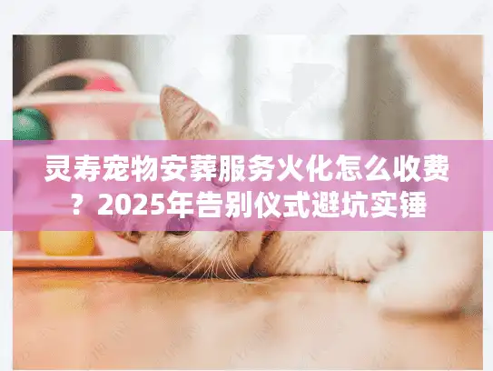 灵寿宠物安葬服务火化怎么收费？2025年告别仪式避坑实锤