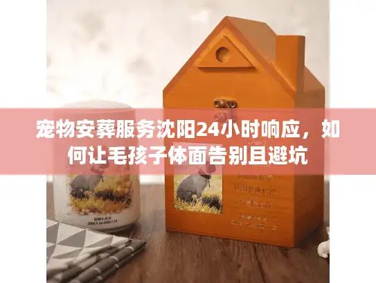 宠物安葬服务沈阳24小时响应，如何让毛孩子体面告别且避坑