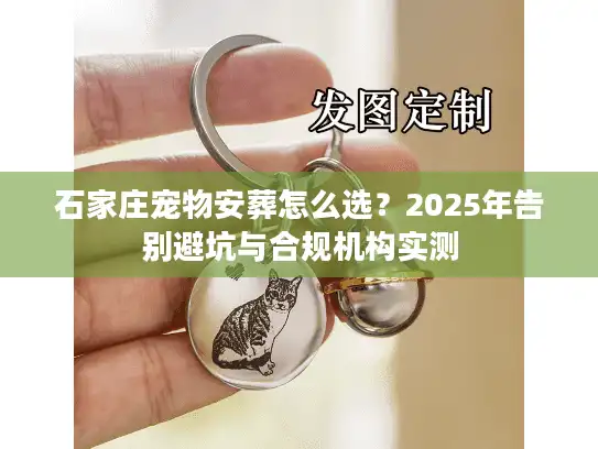 石家庄宠物安葬怎么选？2025年告别避坑与合规机构实测