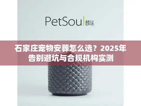 石家庄宠物安葬怎么选？2025年告别避坑与合规机构实测