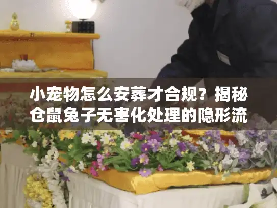 小宠物怎么安葬才合规？揭秘仓鼠兔子无害化处理的隐形流程