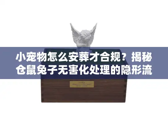 小宠物怎么安葬才合规？揭秘仓鼠兔子无害化处理的隐形流程