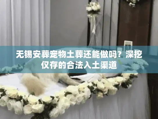 无锡安葬宠物土葬还能做吗？深挖仅存的合法入土渠道