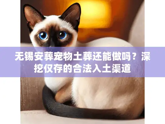 无锡安葬宠物土葬还能做吗？深挖仅存的合法入土渠道