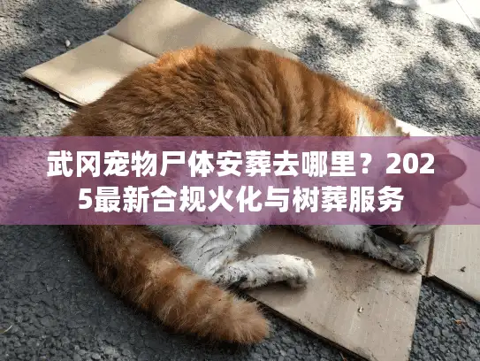 武冈宠物尸体安葬去哪里？2025最新合规火化与树葬服务