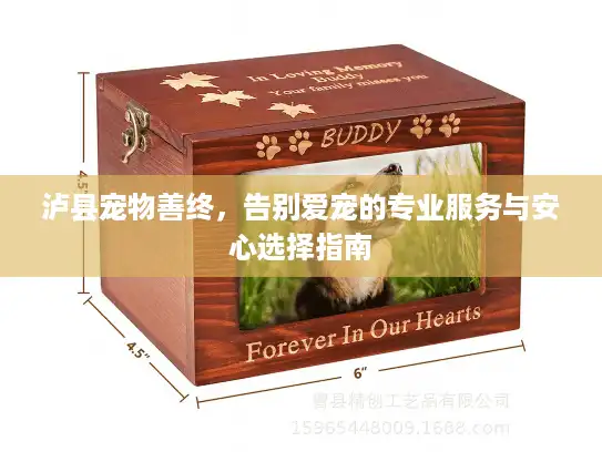 泸县宠物善终，告别爱宠的专业服务与安心选择指南