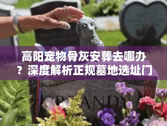高阳宠物骨灰安葬去哪办？深度解析正规墓地选址门道
