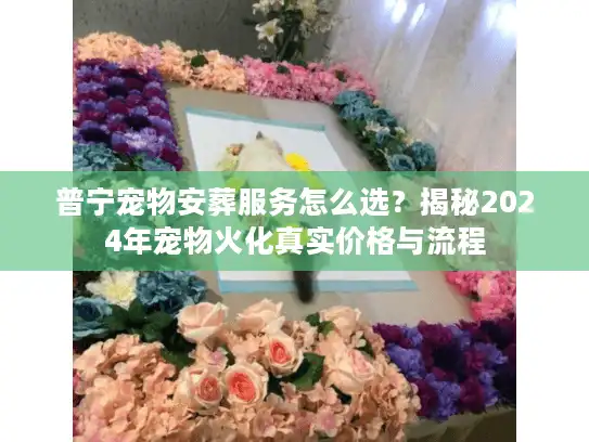 普宁宠物安葬服务怎么选？揭秘2024年宠物火化真实价格与流程