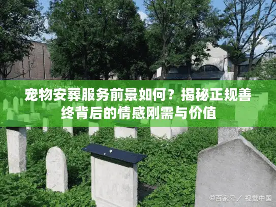 宠物安葬服务前景如何？揭秘正规善终背后的情感刚需与价值
