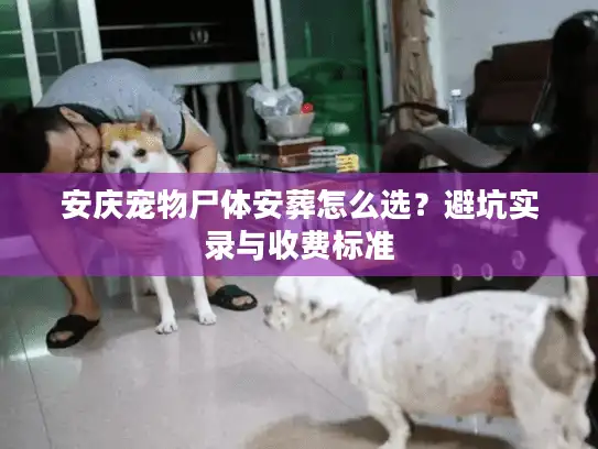 安庆宠物尸体安葬怎么选？避坑实录与收费标准