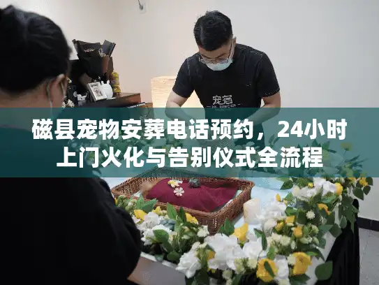 磁县宠物安葬电话预约，24小时上门火化与告别仪式全流程