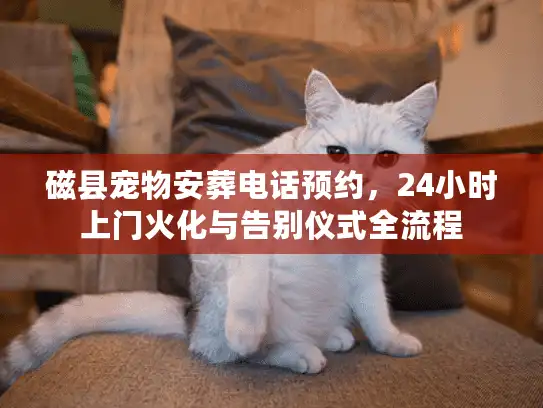 磁县宠物安葬电话预约，24小时上门火化与告别仪式全流程