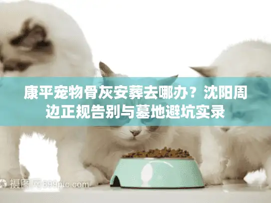 康平宠物骨灰安葬去哪办？沈阳周边正规告别与墓地避坑实录