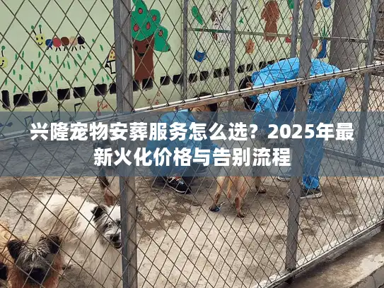 兴隆宠物安葬服务怎么选？2025年最新火化价格与告别流程