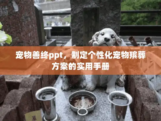 宠物善终ppt，制定个性化宠物殡葬方案的实用手册