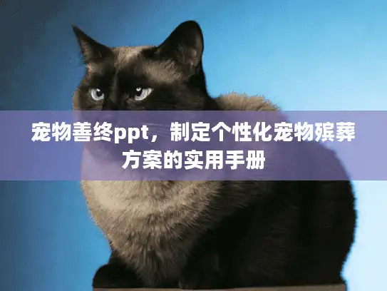 宠物善终ppt，制定个性化宠物殡葬方案的实用手册