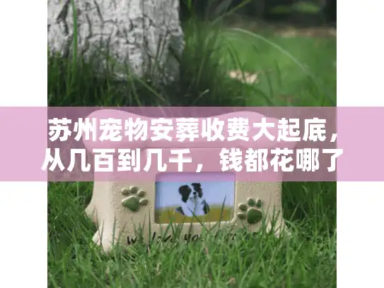 苏州宠物安葬收费大起底，从几百到几千，钱都花哪了？