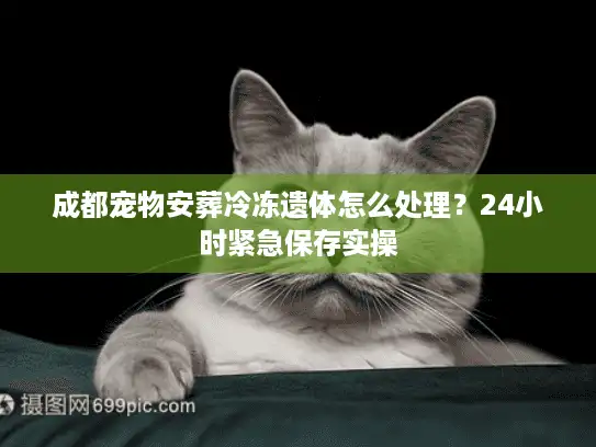 成都宠物安葬冷冻遗体怎么处理？24小时紧急保存实操