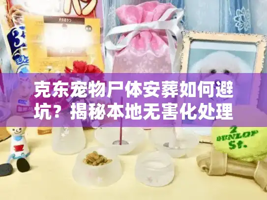 克东宠物尸体安葬如何避坑？揭秘本地无害化处理门道