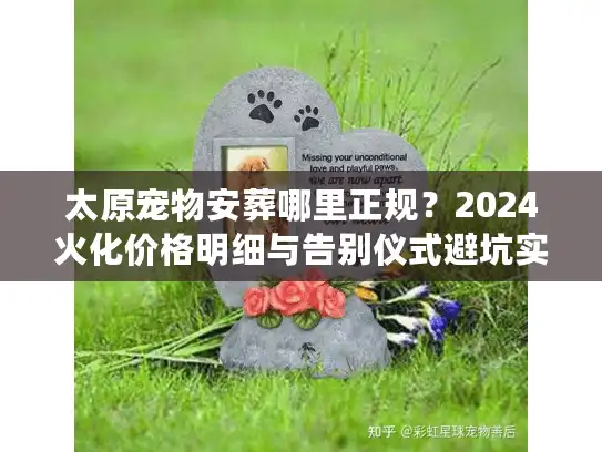 太原宠物安葬哪里正规？2024火化价格明细与告别仪式避坑实录