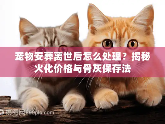 宠物安葬离世后怎么处理？揭秘火化价格与骨灰保存法
