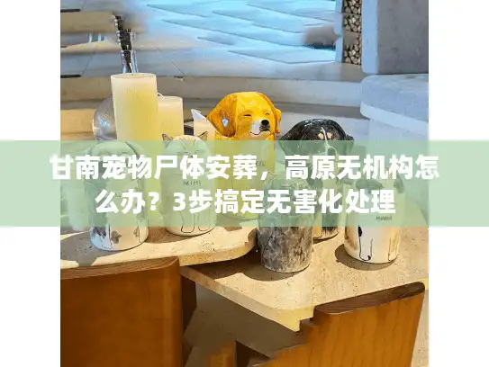 甘南宠物尸体安葬，高原无机构怎么办？3步搞定无害化处理