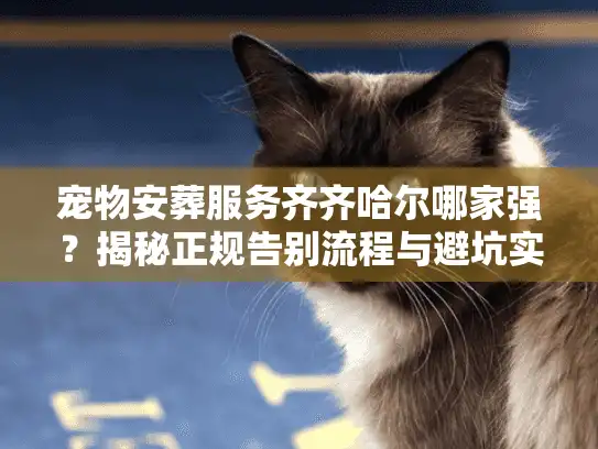 宠物安葬服务齐齐哈尔哪家强？揭秘正规告别流程与避坑实录