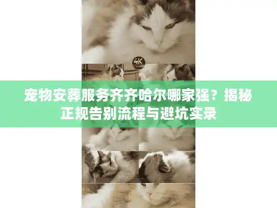 宠物安葬服务齐齐哈尔哪家强？揭秘正规告别流程与避坑实录
