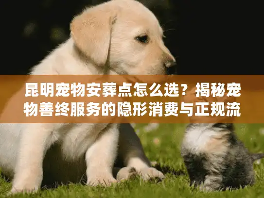 昆明宠物安葬点怎么选？揭秘宠物善终服务的隐形消费与正规流程