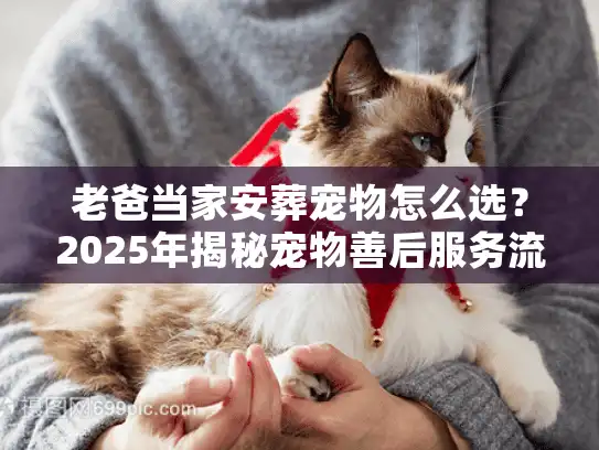 老爸当家安葬宠物怎么选？2025年揭秘宠物善后服务流程与价格门道